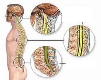 Đánh giá kết quả nghiên cứu ứng dụng ghép tế bào gốc mô mỡ tự thân trong điều trị chấn thương cột sống liệt tủy hoàn toàn tại Bệnh viện Việt Đức 2012-2015