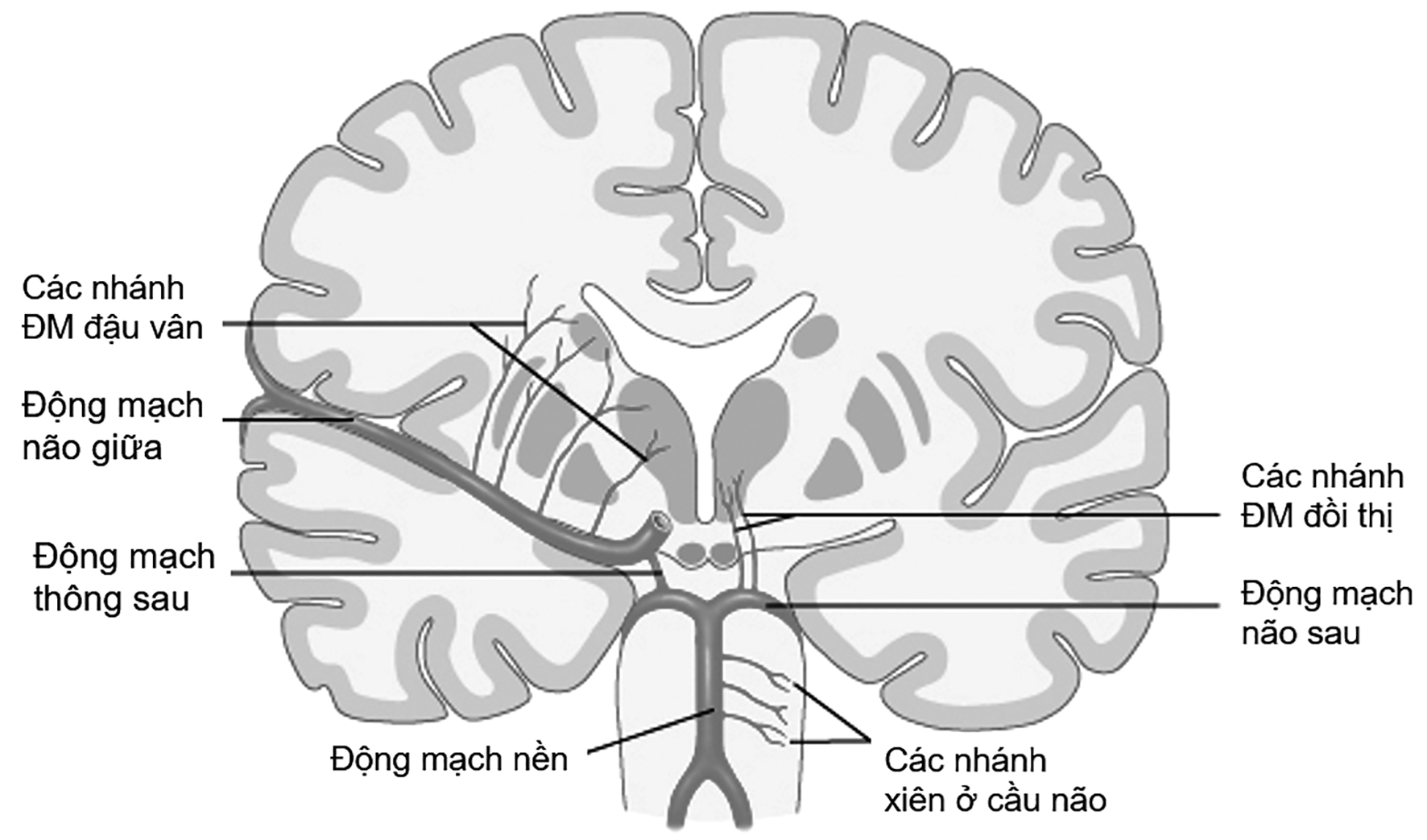 Hội chứng ổ khuyết